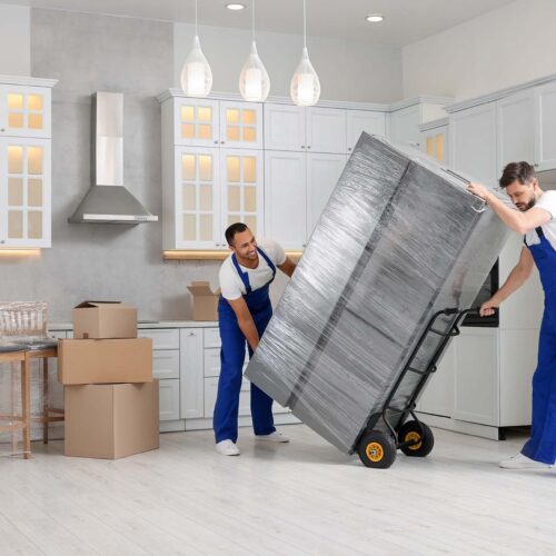 Male movers carrying refrigerator in new house