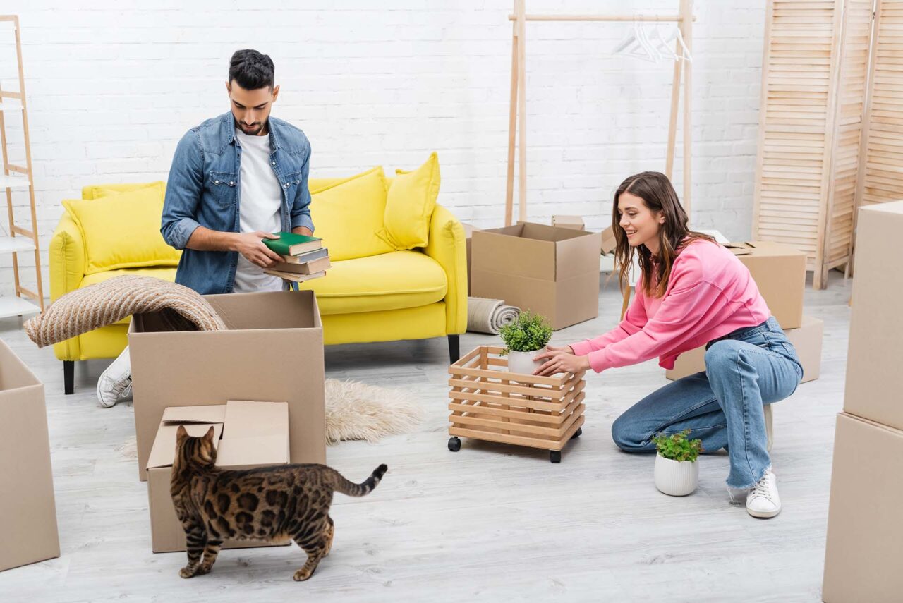 Positive interracial couple unpacking packages near bengal cat at home,stock image