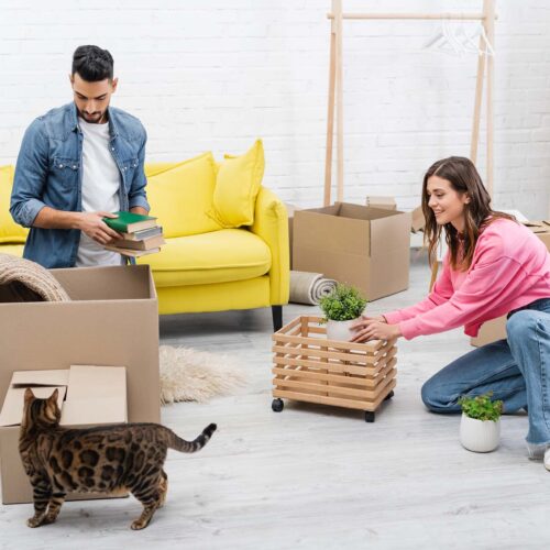 Positive interracial couple unpacking packages near bengal cat at home,stock image