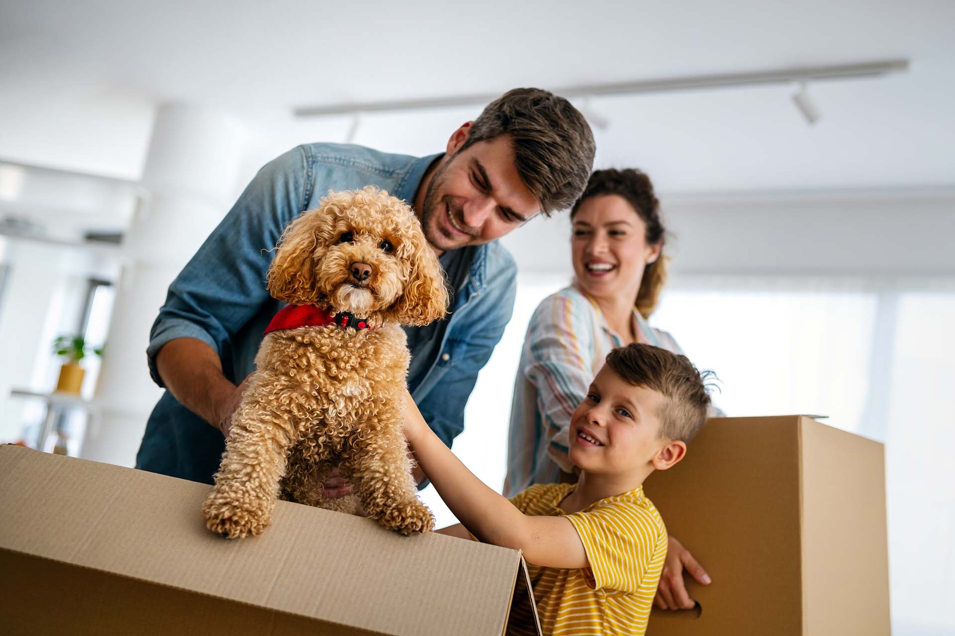 Happy family unpacking boxes in new home on moving day. People, real estate, new home concept