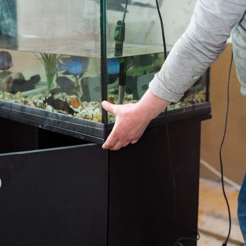 a worker moving a fish tank in a room under renovation