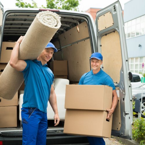 Professional cross-country movers