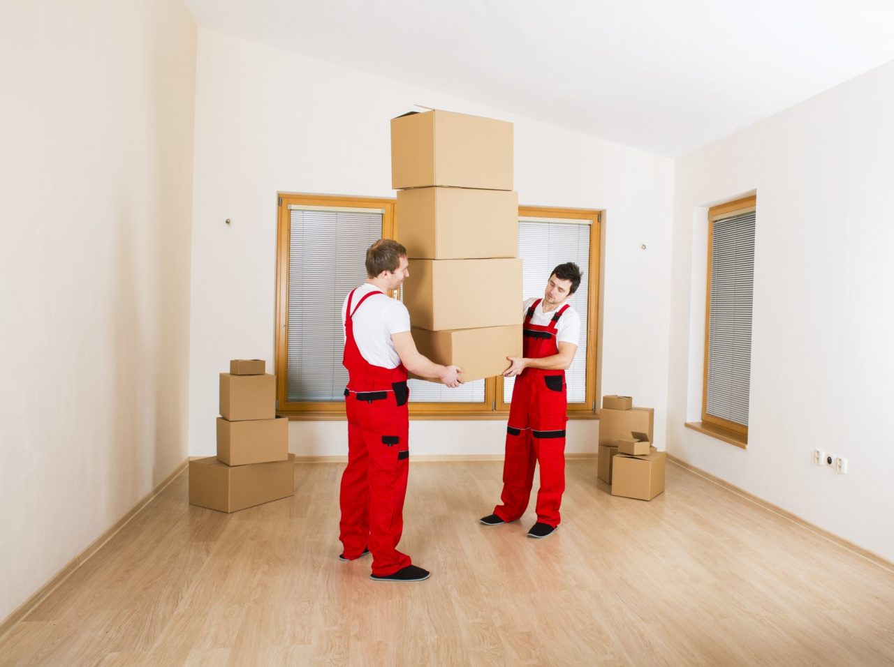 Professional cross country movers