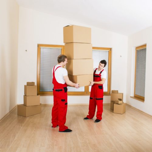 Professional cross country movers